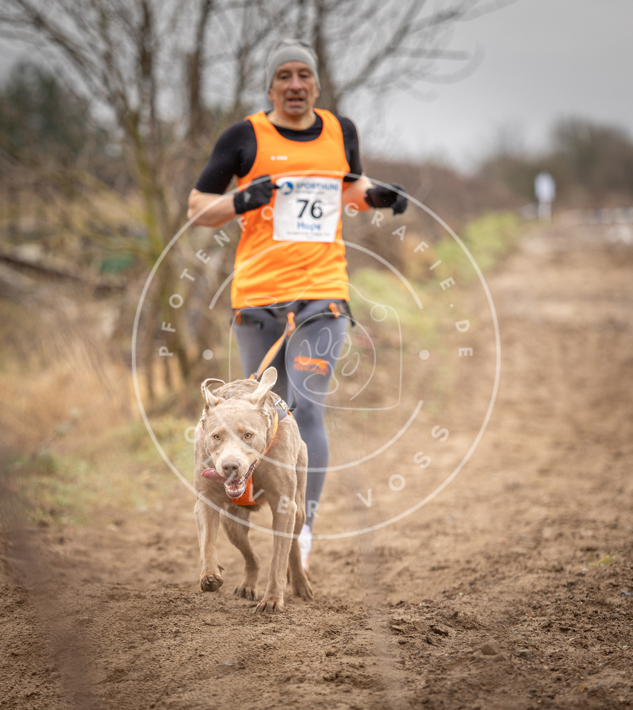 DV3A9769 | Hundefotografie, Tierfotograf, Pfotenfotografie, Fotoshooting Hund, Hunde Portrait, Hundesport, Hundeportraits, Heideshooting, Hunde, Sportfotograf, Hundefotograf, Turnierhundsport, THS,  - Realisiert mit Pictrs.com