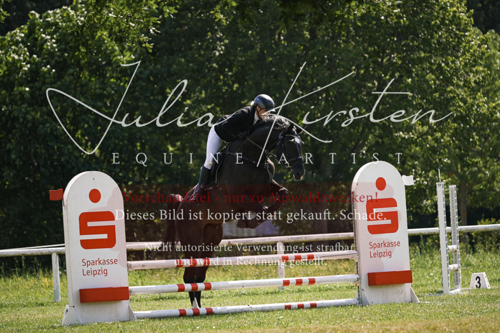 DSC_8941 | Pferde- und Turnierfotografie in Westsachsen. Pferdeportraits, Auftragszeichnungen und intuitive Kunst.