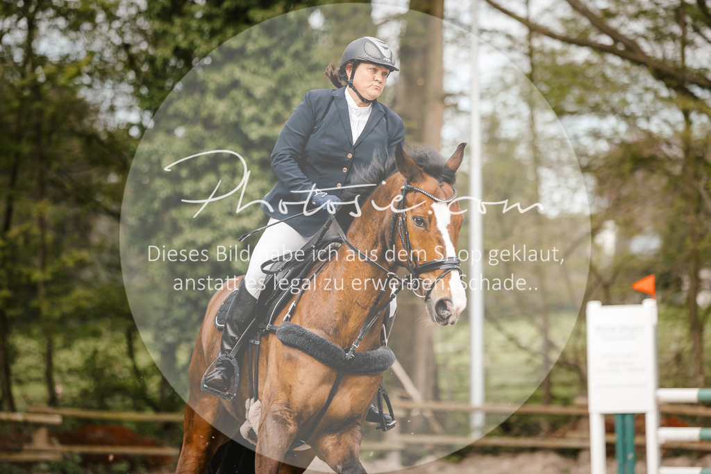 3I6A3196 | Stimmungsvolle Portraits und Reitsportfotografie im Ruhrgebiet und im Münsterland.

Pferdefotografie, Hundefotografie, Tierfotografie, Reportagen, Portraits von Tier und Mensch, Turnierfotografie in Bochum, Recklinghausen, Marl, Haltern am See, Dülmen.. - Realisiert mit Pictrs.com