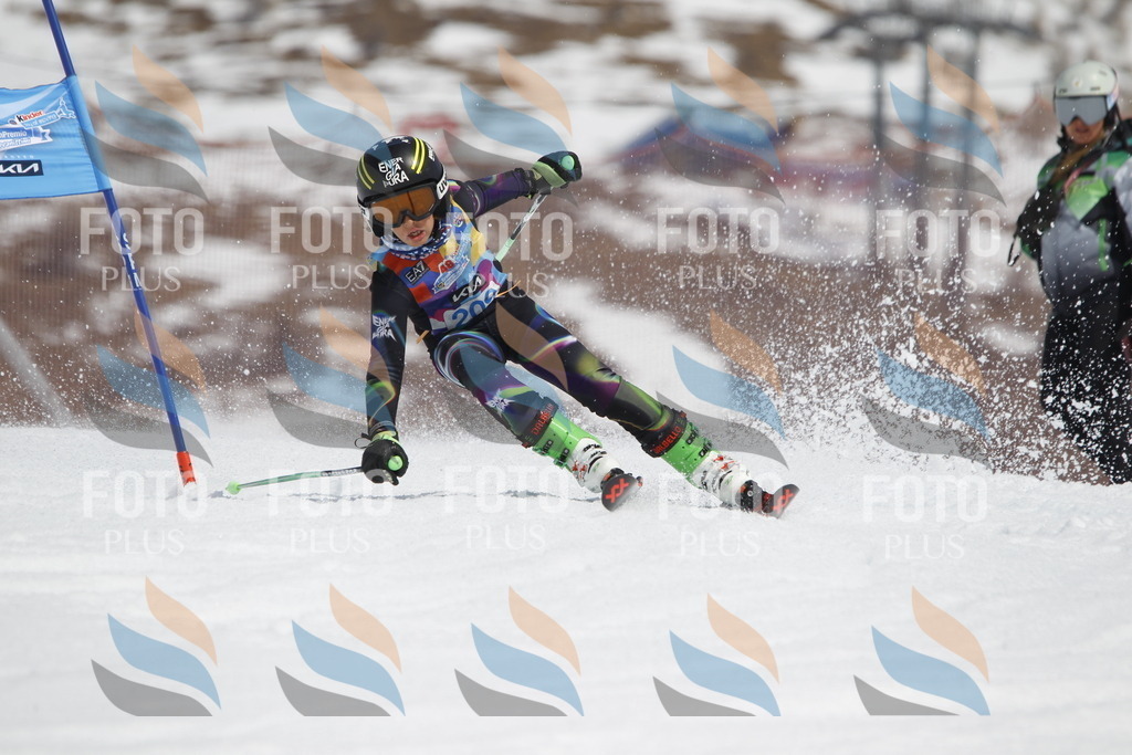 _U3G2201 | holidayphoto