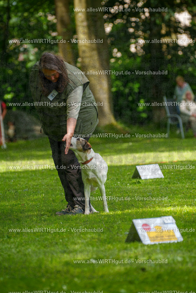@allesWIRTHgut_Tierfotografie - www.allesWIRTHgut.de - 7R504343 | Professionelle Tierfotografie in Mönchengladbach von Daniel Wirth (allesWIRTHgut). Liebevolle & natürliche Bilder von Hunden & Katzen für unvergessliche Erinnerungen.