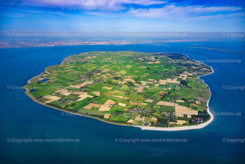 Föhr_ELS_0748130825 | ALKERSUM 13.08.2025 Küstenbereich der Nordsee - Insel Föhr in Nieblum im Bundesland Schleswig-Holstein. // Coastal area of the North Sea - Island Foehr in Nieblum in the state Schleswig-Holstein. Foto: Martin Elsen