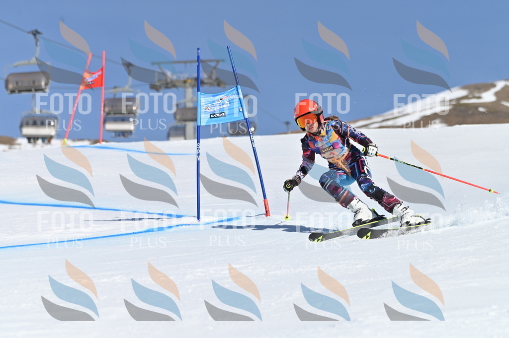 BGV_7636 | holidayphoto