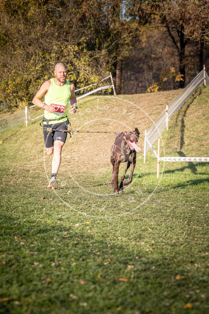 CaniXpix_0L8A0146 | Hundefotografie, Tierfotograf, Pfotenfotografie, Fotoshooting Hund, Hunde Portrait, Hundesport, Hundeportraits, Heideshooting, Hunde, Sportfotograf, Hundefotograf, Turnierhundsport, THS,  - Realisiert mit Pictrs.com