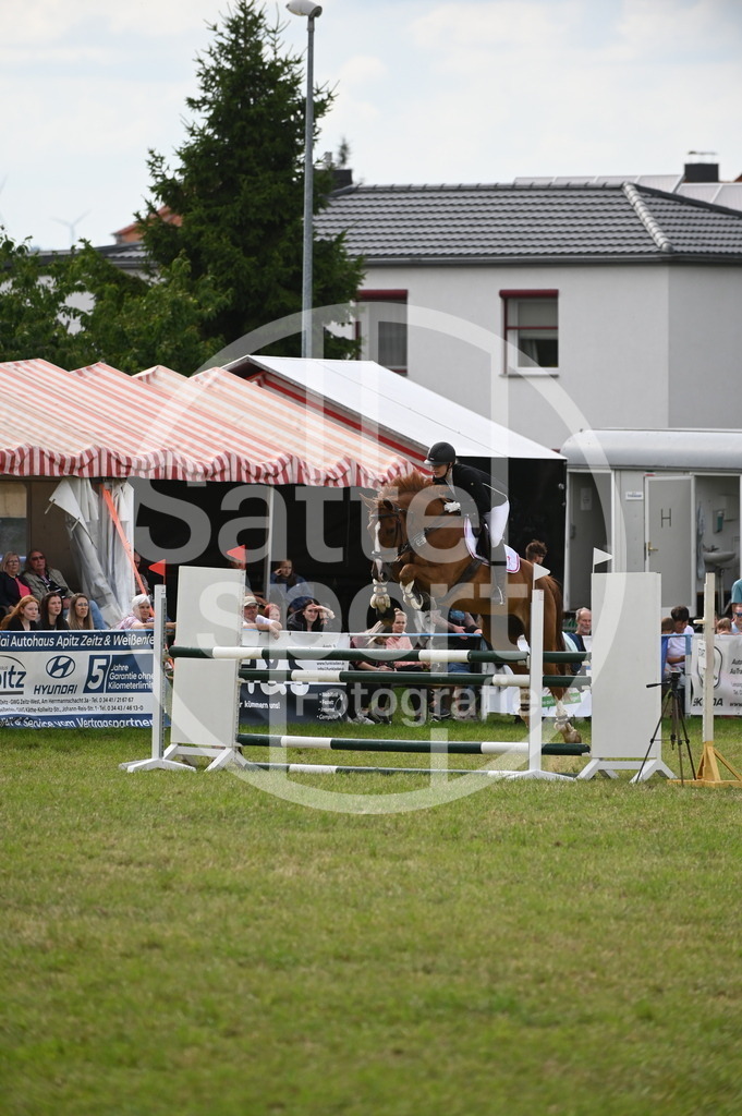 DSC_3160 | sattelsport - Realisiert mit Pictrs.com