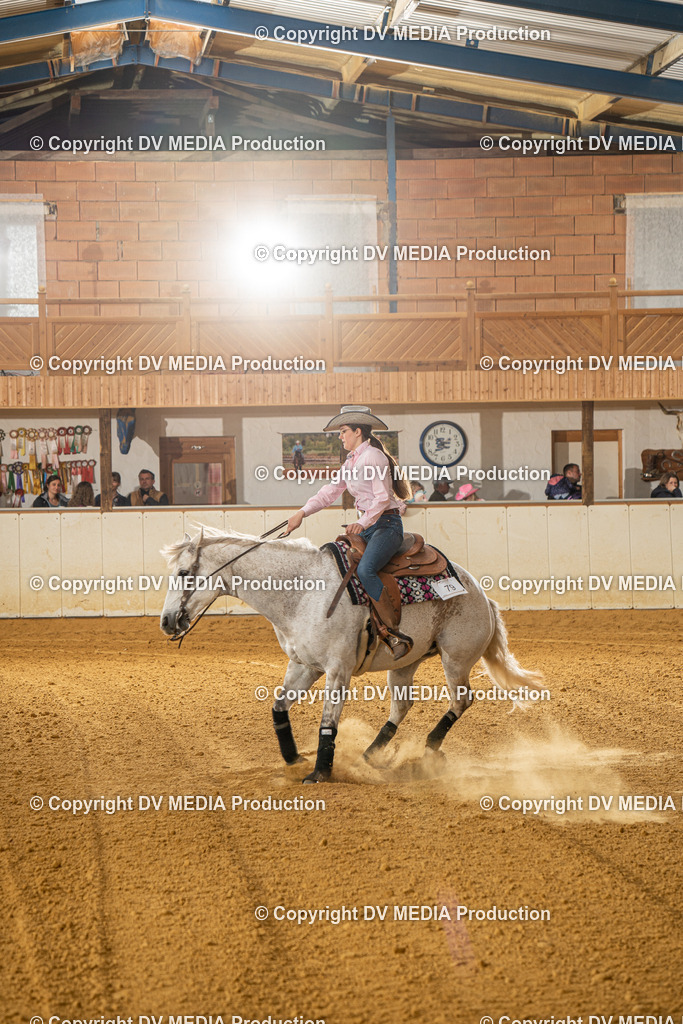 MIT00981 | dv-media-shop - Realisiert mit Pictrs.com