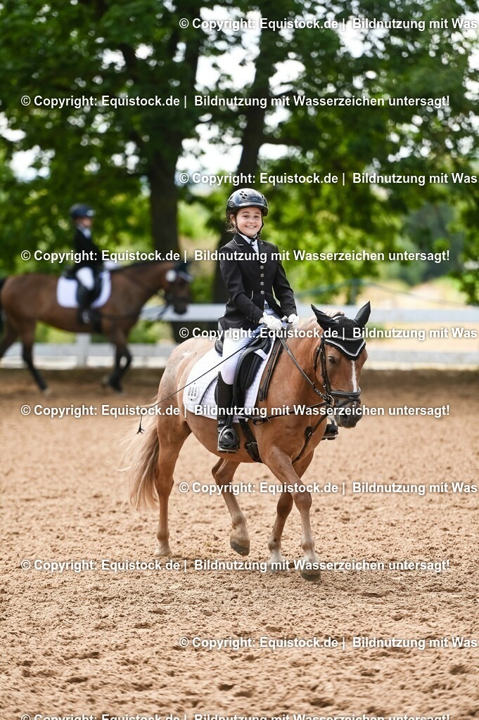 20230716_10-3_Reiter-WB Schritt - Trab - Galopp_0175 | equistock