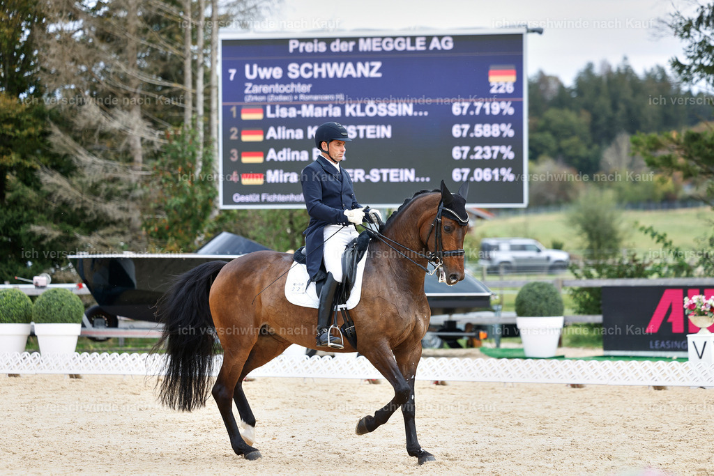 11-226-Dressur S___-StoibPH-1034 | working equitationturnier fotograf videograf stoibphotography marixx film working equitation deutschland reitsport turnierfotografie eventfotografie equestrian events