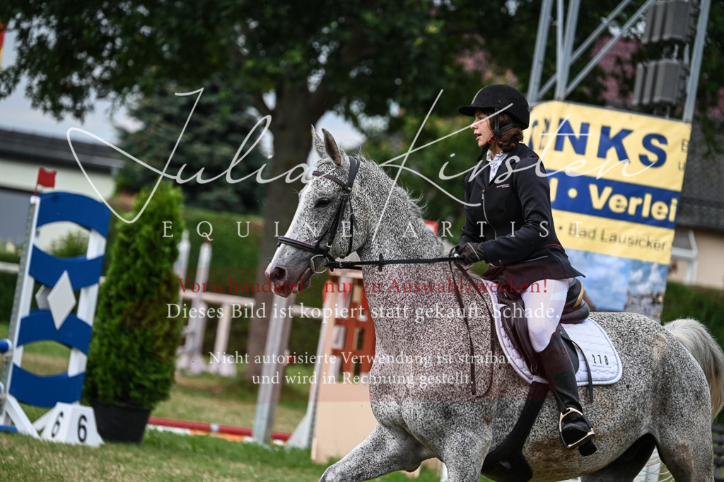 DSC_8328 | Pferde- und Turnierfotografie in Westsachsen. Pferdeportraits, Auftragszeichnungen und intuitive Kunst.