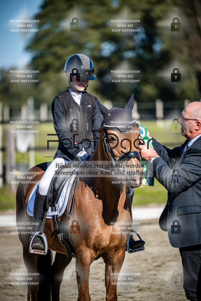 2026-09-Lohne-11-0025 | Entdecke hochwertige Reitturnierfotos von Foto Oger. Professionell, emotional und authentisch – jetzt Lieblingsmomente im Shop bestellen.Deutschlandweite Turnierfotografie. - Realisiert mit Pictrs.com