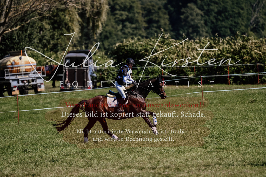 DSC_1468 | Pferde- und Turnierfotografie in Westsachsen. Pferdeportraits, Auftragszeichnungen und intuitive Kunst.