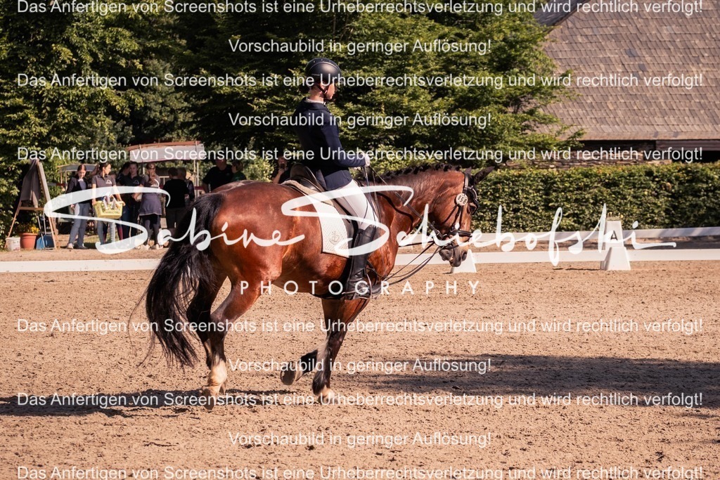 2025_05_31_DSCF2912 | People- und Tierfotografie, Imageaufnahmen, Veranstaltungsfotografie und Wandbilder aus der Natur ★ Made in Germany ✔️ Druck + Downloads ✔️ Naturfotografie in Top Qualität ★ schneller Versand, weltweite Lieferung! - Realisiert mit Pictrs.com