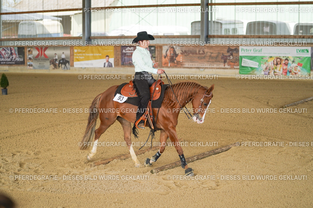 DSC03405 | Pferdegrafie