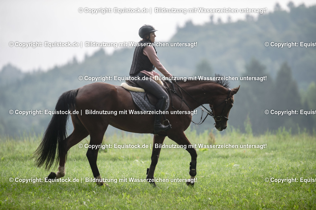 20250726_Vielseitigkeitslehrgang-Marbach_0026 | Foto: Thomas Hartig