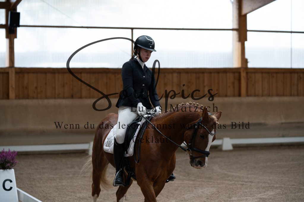 A7V02099 | Pferdefotograf