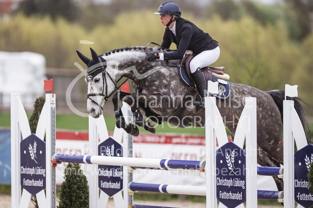 250417_Springpferde-L2-355 | Deine schönsten Turniermomente als professionelle Fotos! Entdecke hochwertige Pferdesport-Fotografie im Online-Shop. Jetzt Fotos finden & bestellen!