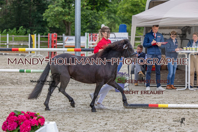 1 (40 von 76) | mandyhollmannphotographie