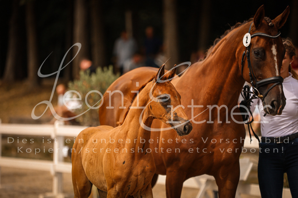 SaPA00040 | Leoni Ertmer Photography - Realisiert mit Pictrs.com