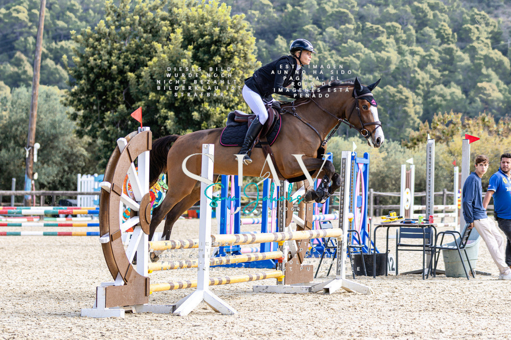 IMG_5749 | s-jay-photography - Realisiert mit Pictrs.com