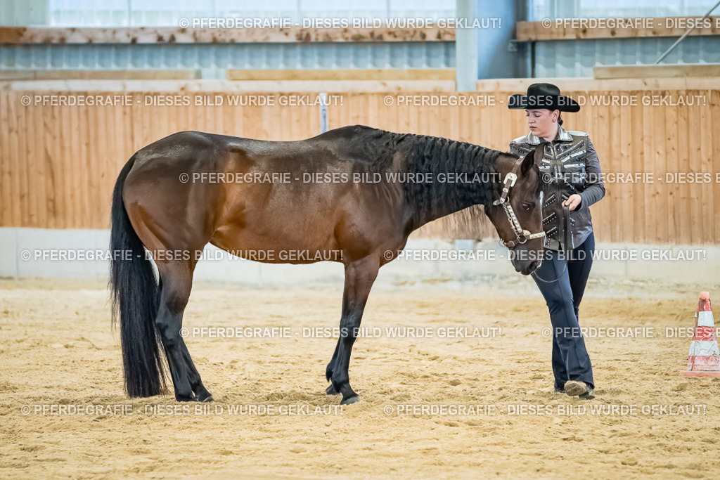 DSC09848 | Pferdegrafie