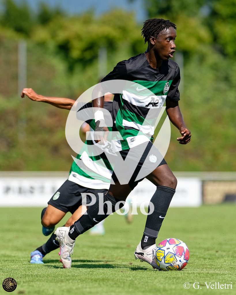 DZ8_9057 | Velletri Photo