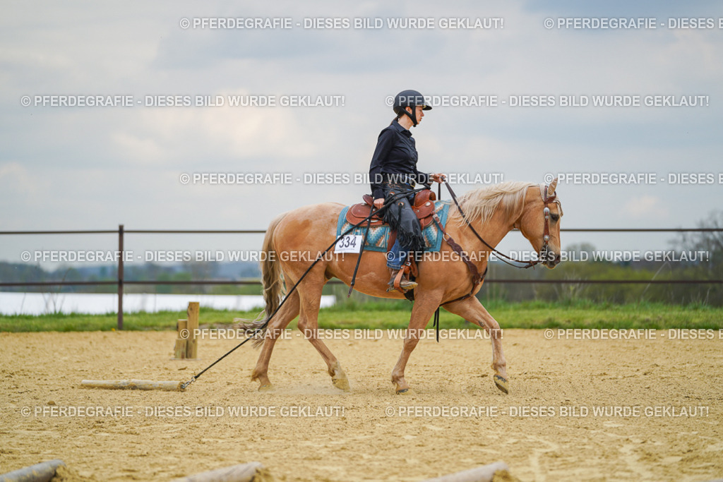 DSC07189 | Pferdegrafie