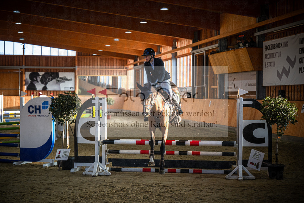 DOS_1579 | Entdecke hochwertige Reitturnierfotos von Foto Oger. Professionell, emotional und authentisch – jetzt Lieblingsmomente im Shop bestellen.Deutschlandweite Turnierfotografie. - Realisiert mit Pictrs.com