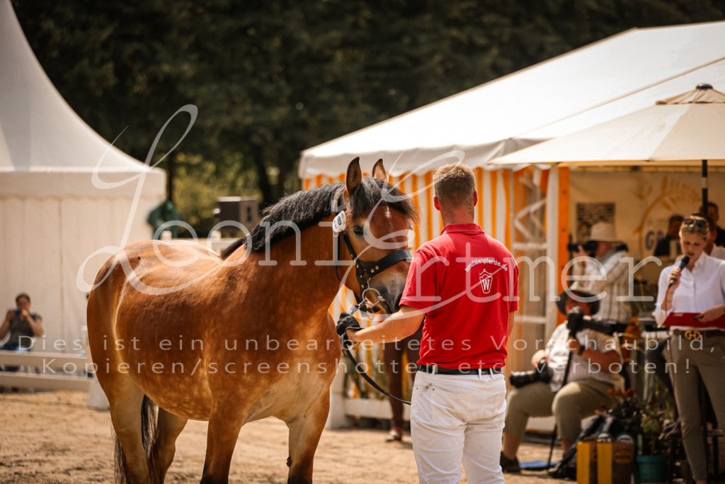 2.Sa00085 | Leoni Ertmer Photography - Realisiert mit Pictrs.com