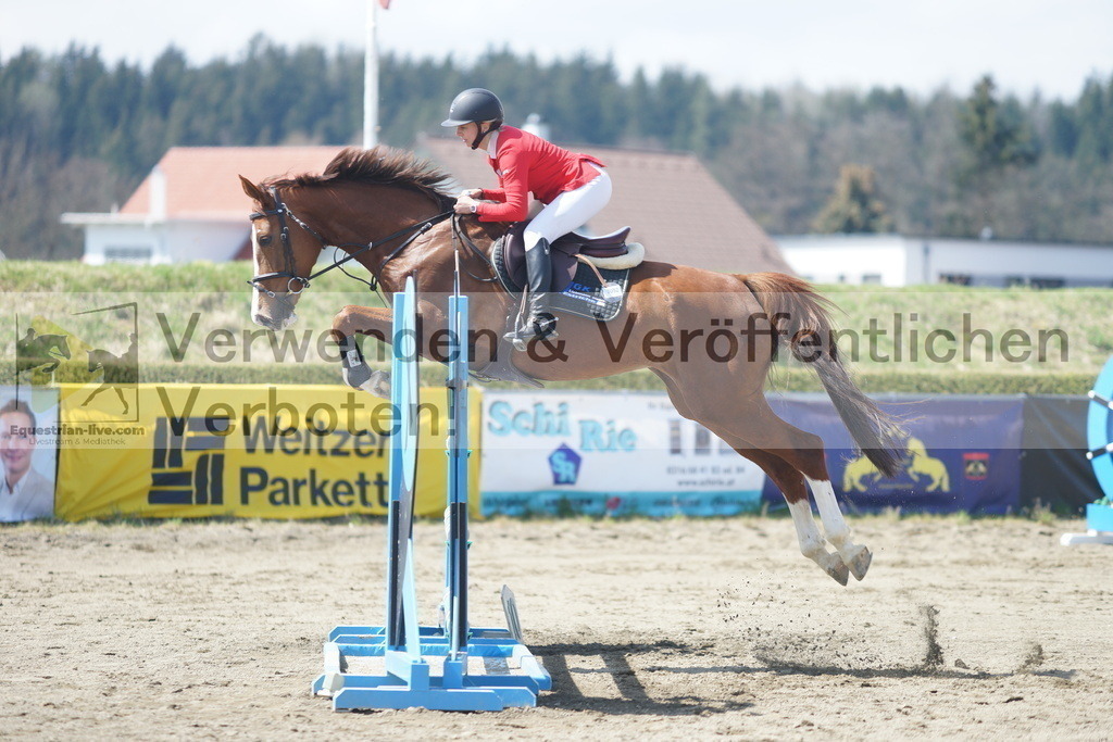 DSC02681 | equestrian-live-com