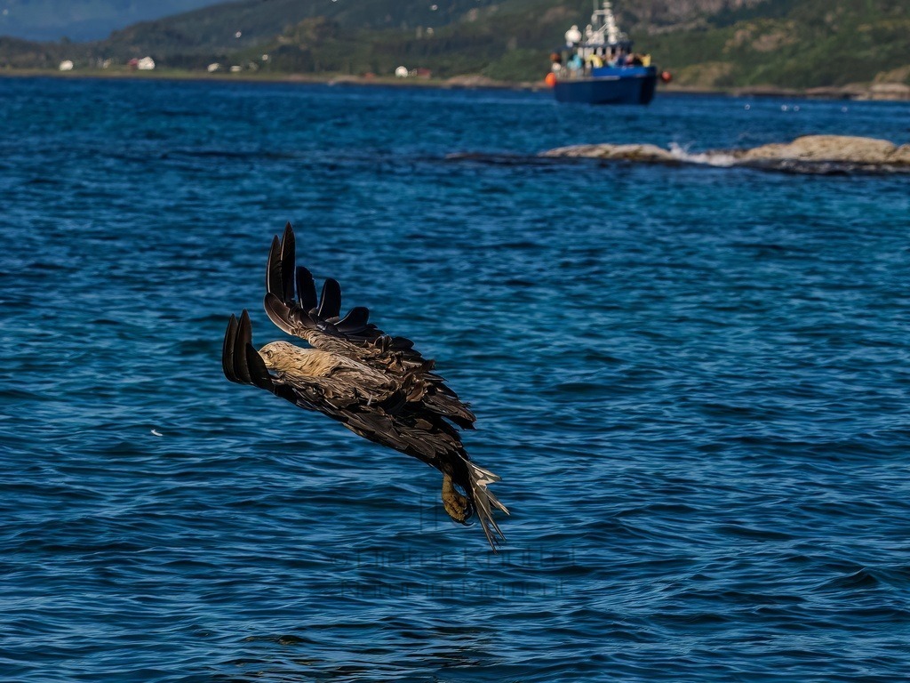 P1001614-LR-topaz-denoise-enhance | Natur im Moment - Realisiert mit Pictrs.com