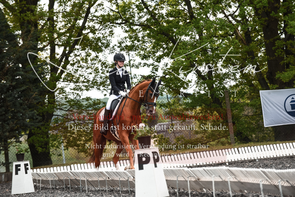 20230514_JK-Röhrsdorf-24-133 | Pferde- und Turnierfotografie in Westsachsen. Pferdeportraits, Auftragszeichnungen und intuitive Kunst.