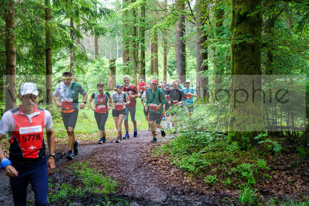Rennsteiglauf Marathon 2024 | 25. Mai 2024 - 42,2 km von Neuhaus nach Schmiedefeld
