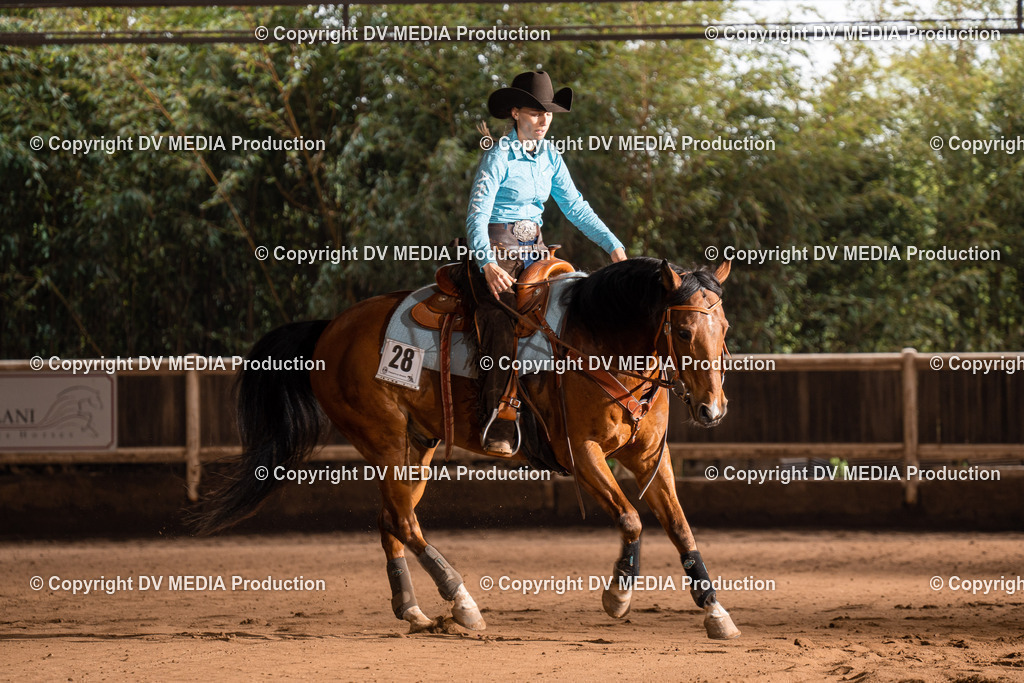 Erbach Tag 2-717 | dv-media-shop - Realisiert mit Pictrs.com