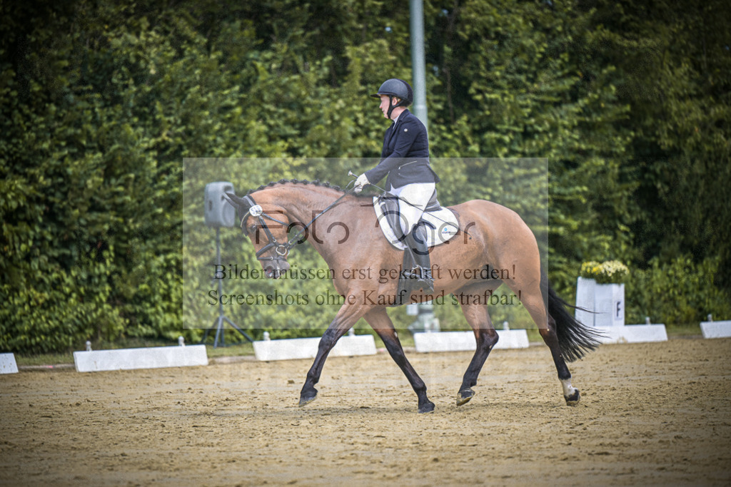 DOS_3830 | Entdecke hochwertige Reitturnierfotos von Foto Oger. Professionell, emotional und authentisch – jetzt Lieblingsmomente im Shop bestellen.Deutschlandweite Turnierfotografie. - Realisiert mit Pictrs.com