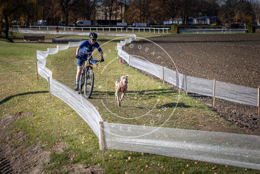 CaniXpix_DV3A6736 | Hundefotografie, Tierfotograf, Pfotenfotografie, Fotoshooting Hund, Hunde Portrait, Hundesport, Hundeportraits, Heideshooting, Hunde, Sportfotograf, Hundefotograf, Turnierhundsport, THS,  - Realisiert mit Pictrs.com