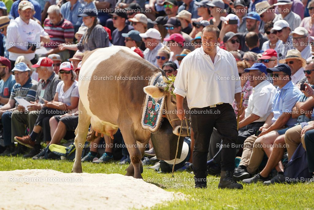 20220710-DSC03856 (2) | René Burch leidenschaftlicher Fotograf aus Kerns in Obwalden.  Hier finden sie Sport, Landschaft und Natur Fotografie.
 - Realisiert mit Pictrs.com
