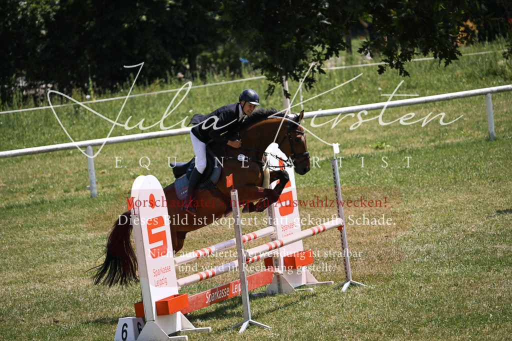 DSC_9610 | Pferde- und Turnierfotografie in Westsachsen. Pferdeportraits, Auftragszeichnungen und intuitive Kunst.