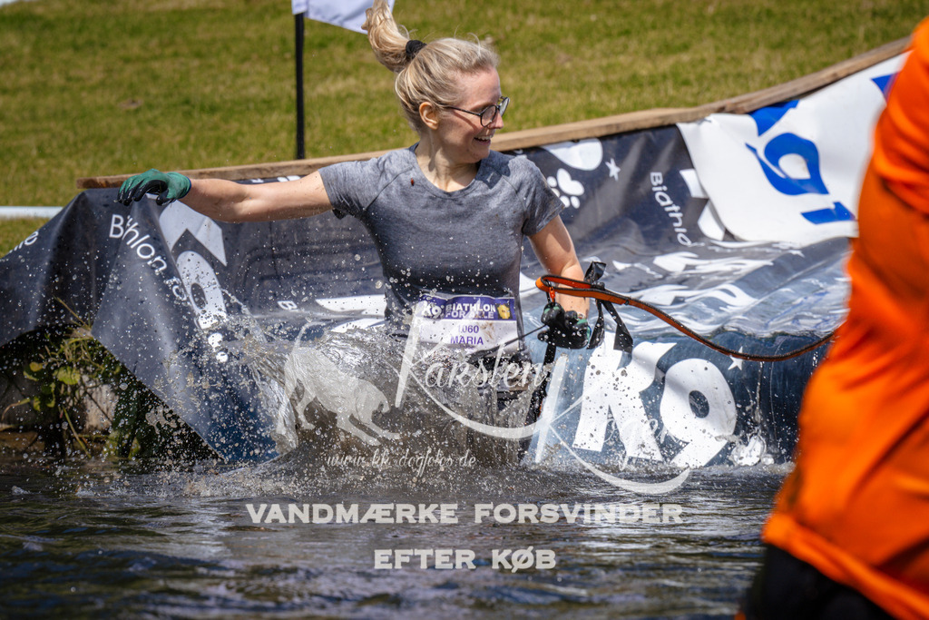 _ZZ956271009 | kk-dogfotos