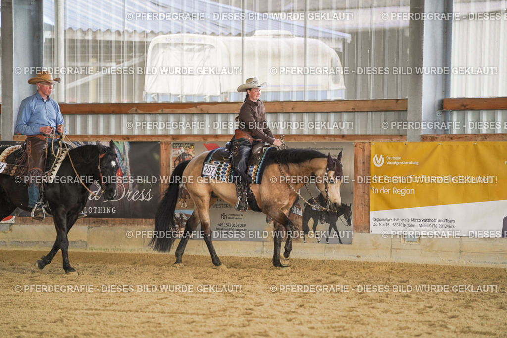 DSC07948 | Pferdegrafie