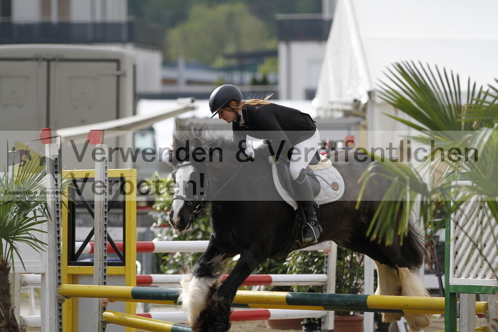 _MG_1213 | equestrian-live-com