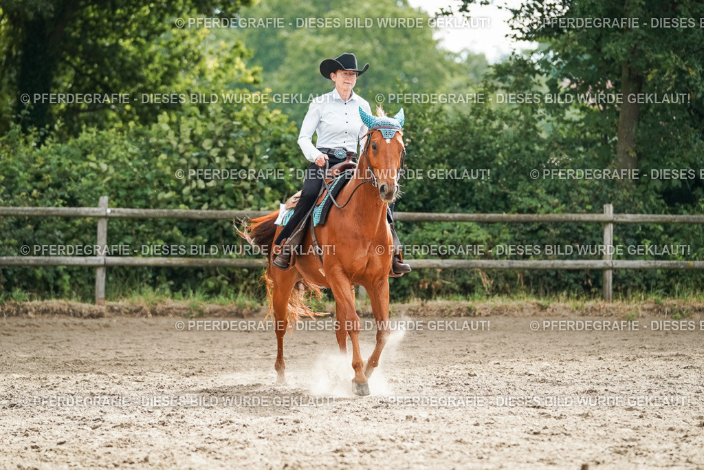 DSC03851 | Pferdegrafie