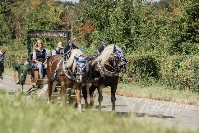 7V6A1760 | natalia-nirschl-photography