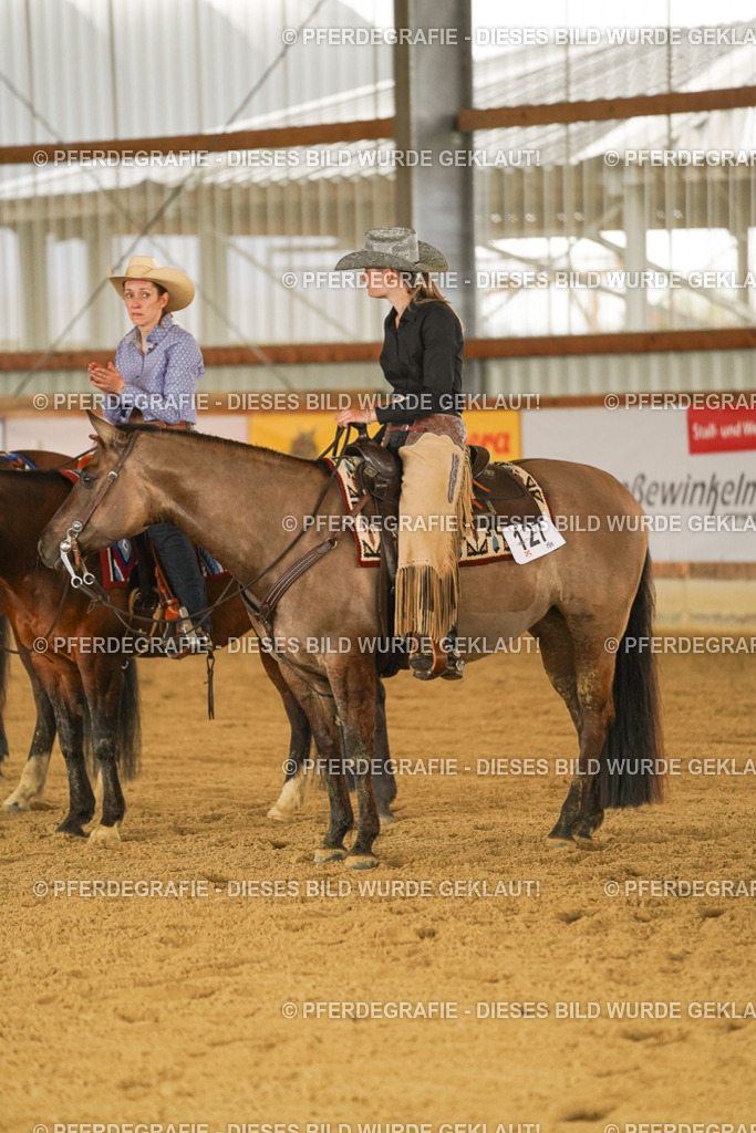 DSC08418 | Pferdegrafie