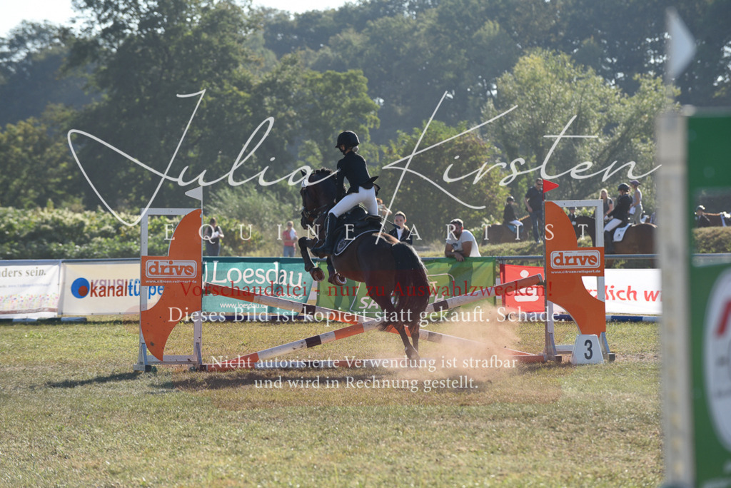 DSC_5575 | Pferde- und Turnierfotografie in Westsachsen. Pferdeportraits, Auftragszeichnungen und intuitive Kunst.