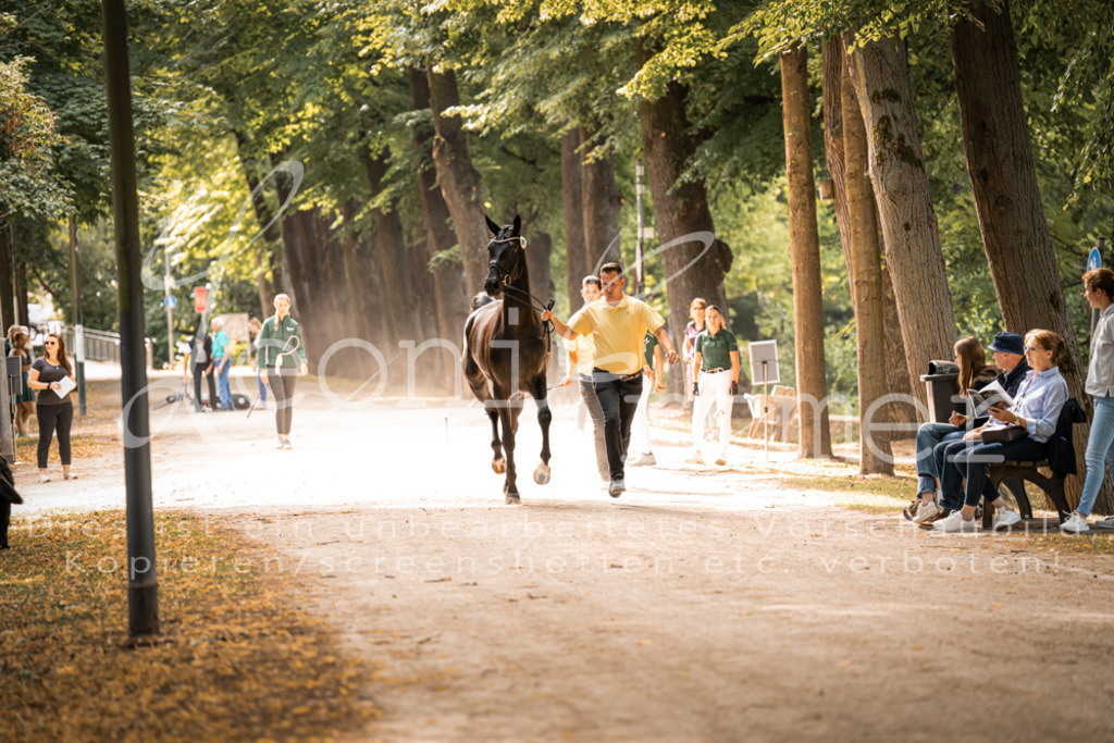 FrPfM00057 | Leoni Ertmer Photography - Realisiert mit Pictrs.com