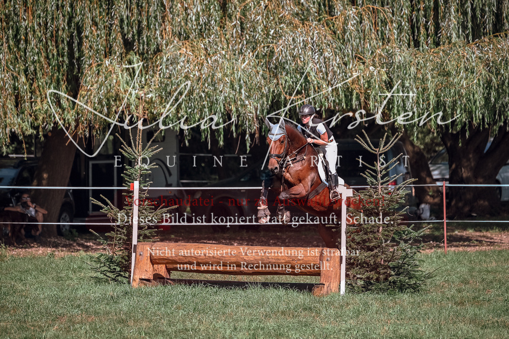 DSC_2706 | Pferde- und Turnierfotografie in Westsachsen. Pferdeportraits, Auftragszeichnungen und intuitive Kunst.