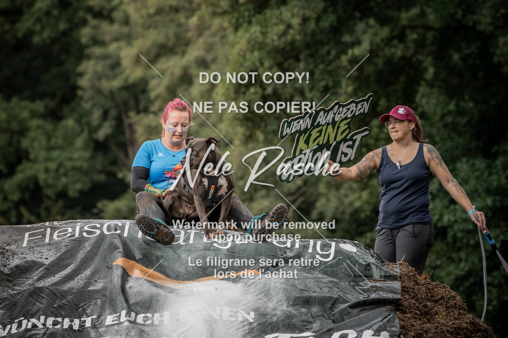 nelerasche_Wingst_Sa1300-1330_74 | nelerasche