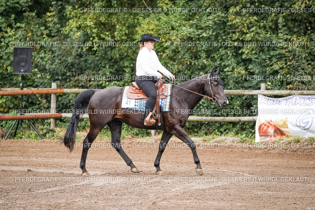 DSC05444 | Pferdegrafie