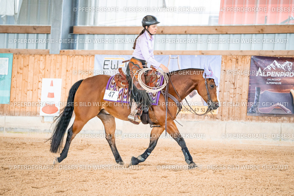 DSC09343 | Pferdegrafie