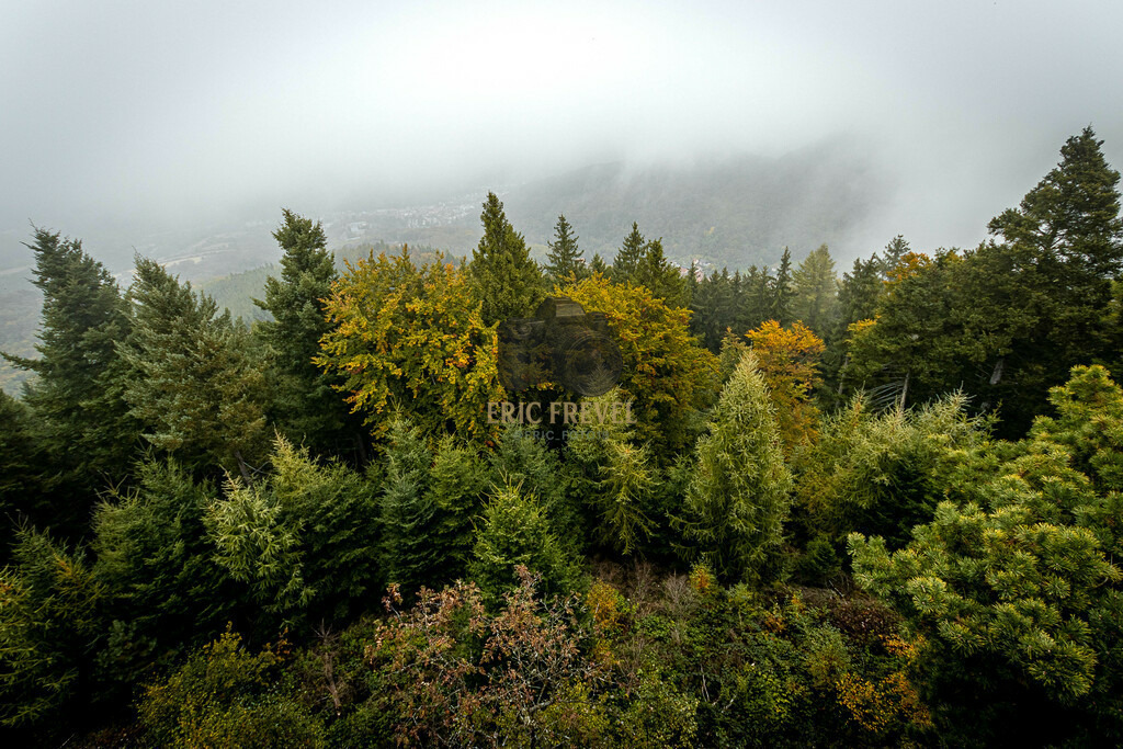 IMG_8219 | Photography by Eric Frevel - Realisiert mit Pictrs.com